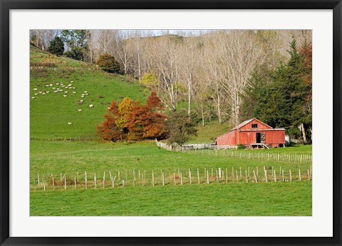 Framed Wool Shed and Farmland, Kawhatau Valley, Rangitikei, North Island, New Zealand Print