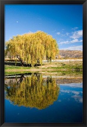 Framed Domain Road Vineyard, Bannockburn, South Island, New Zealand Print