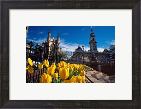 Framed Municipal Chambers and St Pauls, Octagon, Dunedin, New Zealand Print