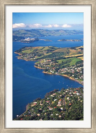 Framed Macandrew Bay, Otago Harbor, Dunedin, New Zealand Print