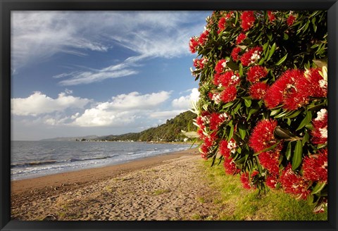 Framed Beach, Pohutukawa, Thornton Bay, No Island, New Zealand Print