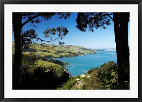 Framed Careys Bay, Otago Harbour, South Island, New Zealand Print