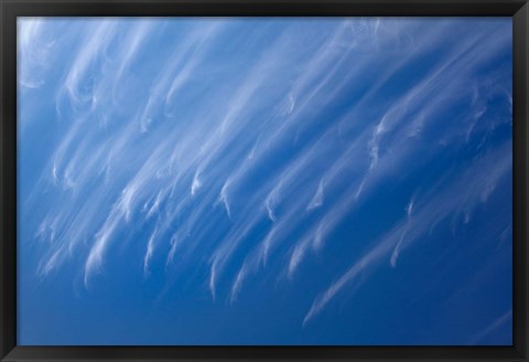 Framed Cirrus Clouds, Dunedin, Otago, South Island, New Zealand Print