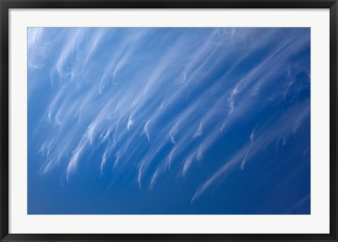 Framed Cirrus Clouds, Dunedin, Otago, South Island, New Zealand Print