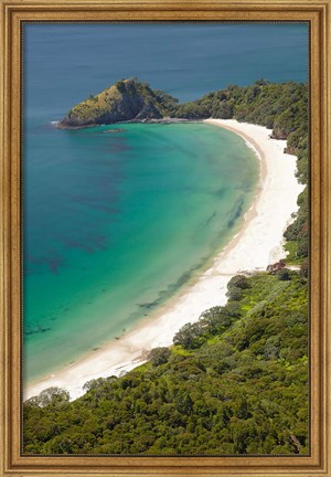 Framed New Chums Beach and Motuto Point, Coromandel Peninsula, North Island, New Zealand Print