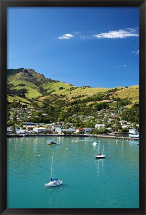 Framed New Zealand, South Island, Canterbury, Akaroa Harbor Print