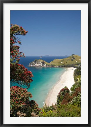 Framed Pohutukawa Tree, Beach, North Island, New Zealand Print