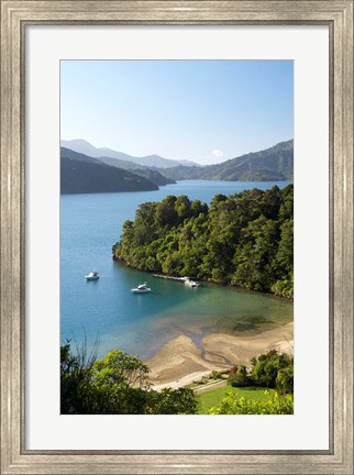 Framed Whenuanui, Becks Bay, Marlborough Sounds, South Island, New Zealand Print