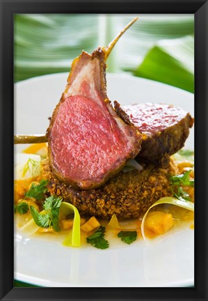 Framed Spiced Lamb Rack cuisine, Antigua, Caribbean Print