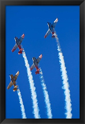 Framed Aerobatic display by North American Harvards, or T-6 Texans, or SNJ, Airshow Print