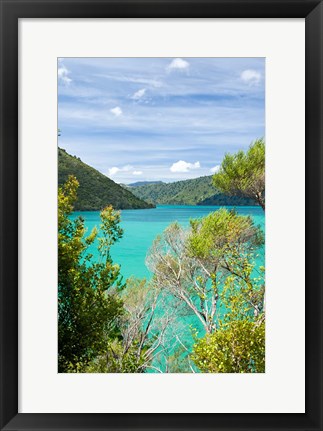 Framed New Zealand, South Island, Marlborough, Nydia Bay Print