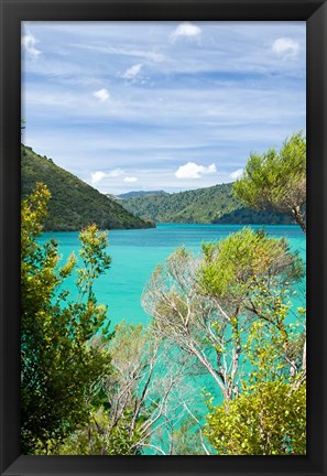 Framed New Zealand, South Island, Marlborough, Nydia Bay Print