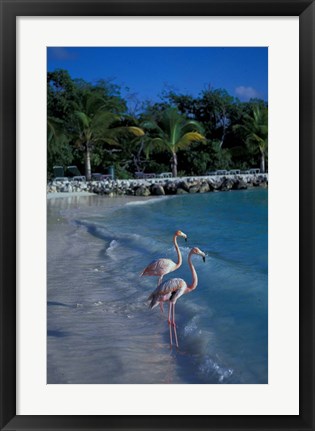 Framed Sonesta Island,  Aruba, Caribbean Print