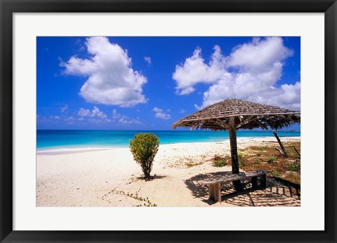 Framed Coco Point Beach, Barbuda, Antigua Print