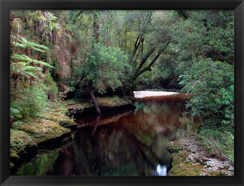 Framed Oparara River, Oparara Basin, New Zealand Print