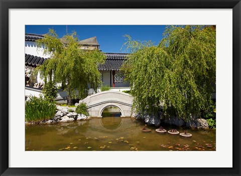 Framed Chinese Gardens, Dunedin, South Island, New Zealand Print