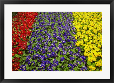 Framed Flower garden at Dunedin Railway Station, South Island, New Zealand Print