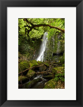 Framed Matai Falls, Catlins, South Otago, South Island, New Zealand Print