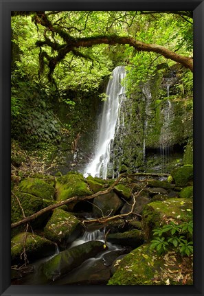 Framed Matai Falls, Catlins, South Otago, South Island, New Zealand Print