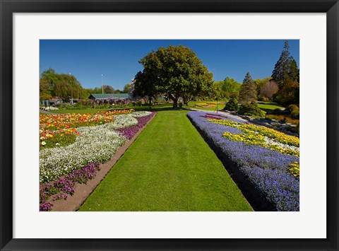 Framed Pollard Park, Blenheim, Marlborough, New Zealand Print