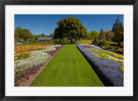 Framed Pollard Park, Blenheim, Marlborough, New Zealand Print