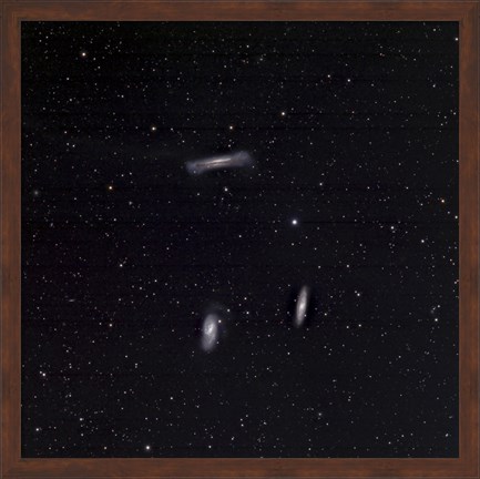 Framed Leo Triplet Print