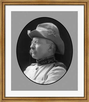 Framed Colonel Theodore Roosevelt (side profile) Print