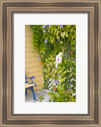 Framed Beach House Ivy, Loyalist Cays, Bahamas, Caribbean Print