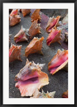 Framed Bahamas, New Providence, Nassau, Straw market Print