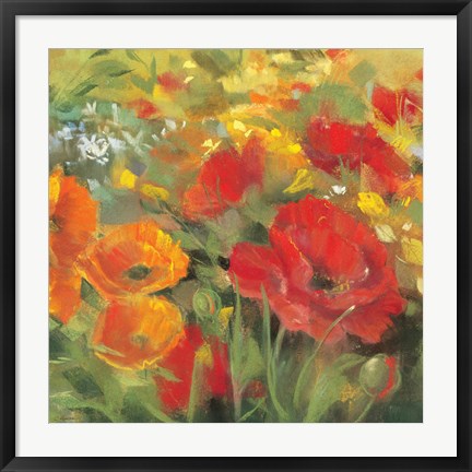 Framed Oriental Poppy Field I Print