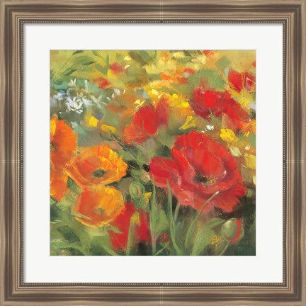 Framed Oriental Poppy Field I Print