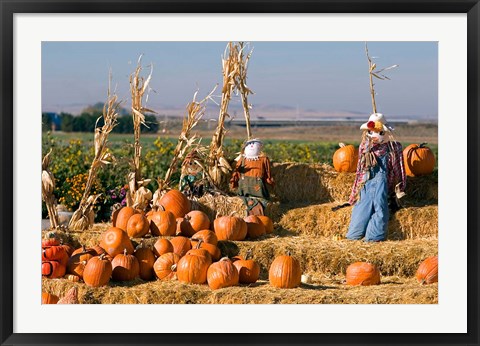 Framed Scarecrows, Fruitland, Idaho Print