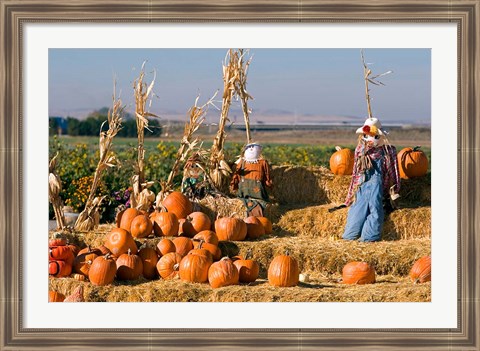 Framed Scarecrows, Fruitland, Idaho Print