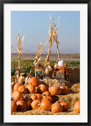 Framed Pumpkin, hay bales, scarecrows, Fruitland, Idaho Print