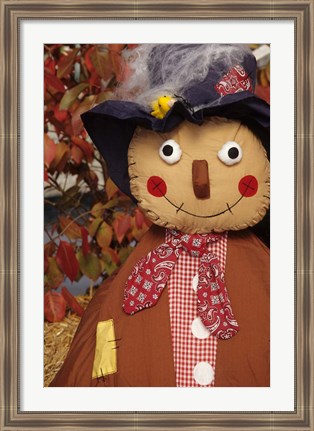 Framed Stuffed Scarecrow on Display at Halloween, Washington Print