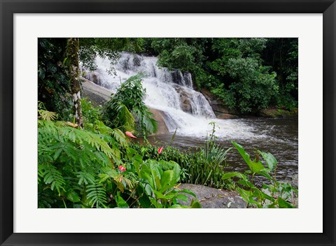 Framed Rainforest waterfall, Serra da Bocaina NP, Parati, Brazil (horizontal) Print