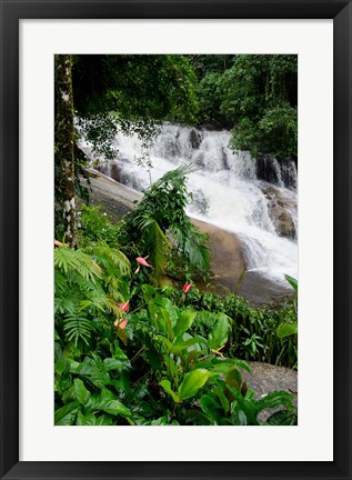 Framed Rainforest waterfall, Serra da Bocaina NP, Parati, Brazil (vertical) Print