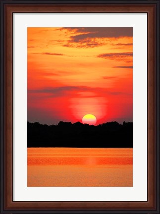 Framed Amazon Jungle, Brazil, Sunset Print