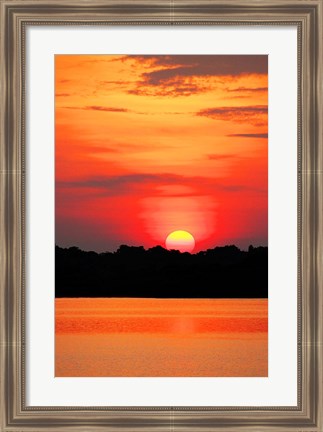 Framed Amazon Jungle, Brazil, Sunset Print