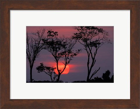 Framed Amazonia Sunset Print