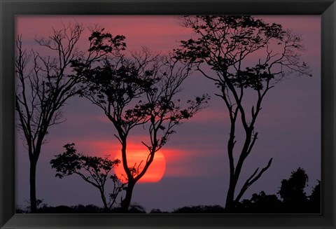 Framed Amazonia Sunset Print