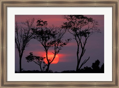 Framed Amazonia Sunset Print