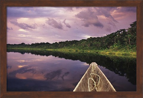 Framed Paddling a dugout canoe, Amazon basin, Ecuador Print