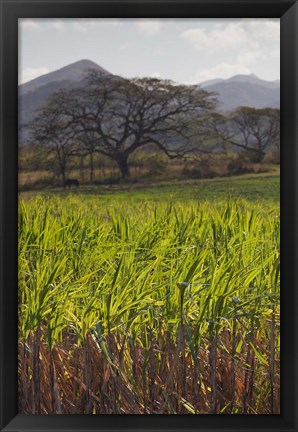 Framed Cuba, San Francisco, Cienfuegos-Trinidad coast Print