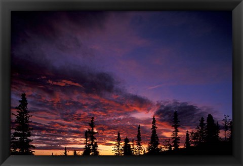 Framed Solstice Sunset atop Midnight Dome, Dawson City, Yukon, Canada Print