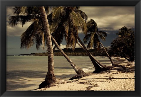 Framed Playa Rincon beach, Las Galeras, Samana Peninsula, Dominican Republic Print