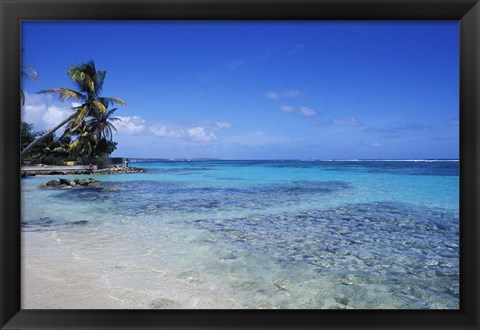 Framed Beach and Palms in Sainte Anne, Guadeloupe Print