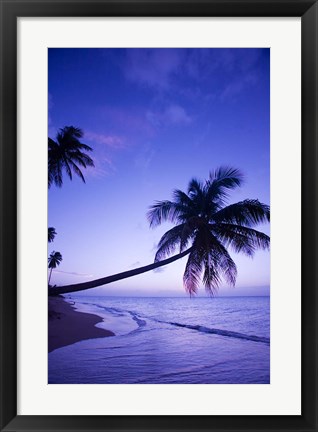 Framed Palm tree, Coconut Grove beach, Cade&#39;s Bay, Caribbean Print