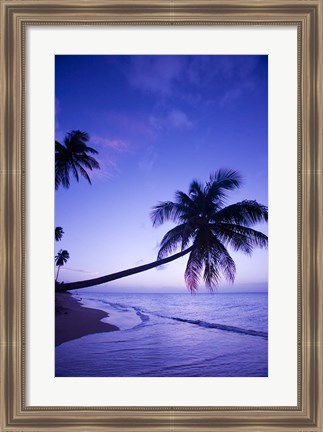 Framed Palm tree, Coconut Grove beach, Cade&#39;s Bay, Caribbean Print