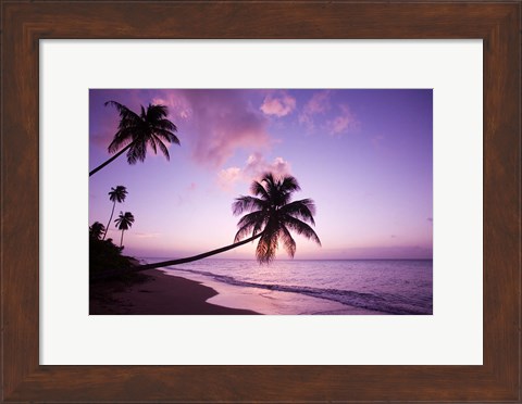 Framed Palm Trees at Sunset, Coconut Grove Beach at Cade&#39;s Bay, Nevis, Caribbean Print